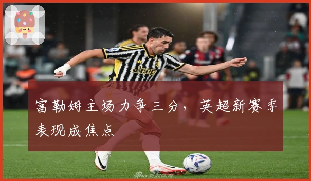 富勒姆主场力争三分，英超新赛季表现成焦点