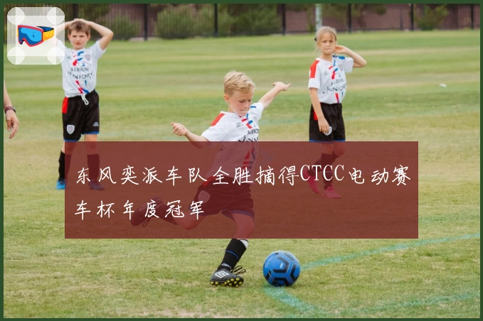 东风奕派车队全胜摘得CTCC电动赛车杯年度冠军